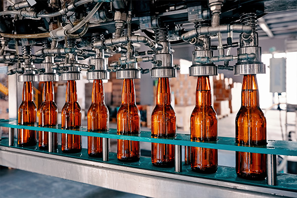 Glass beverage bottles on a production line